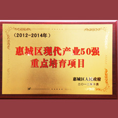惠城區現代產業50強 重點培育項目